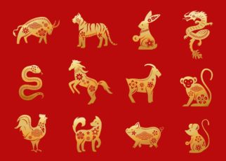 zodiaco chino para este año