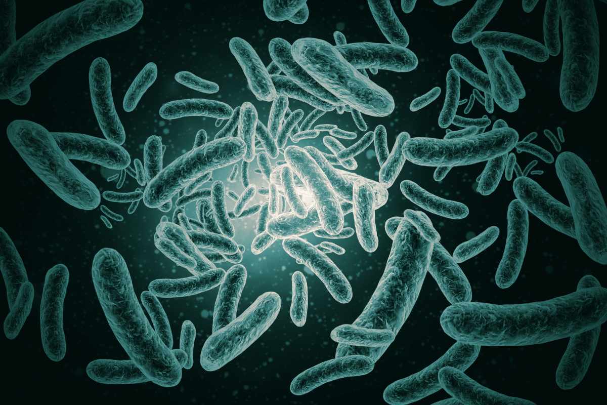 Bacterias descubiertas en el espacio