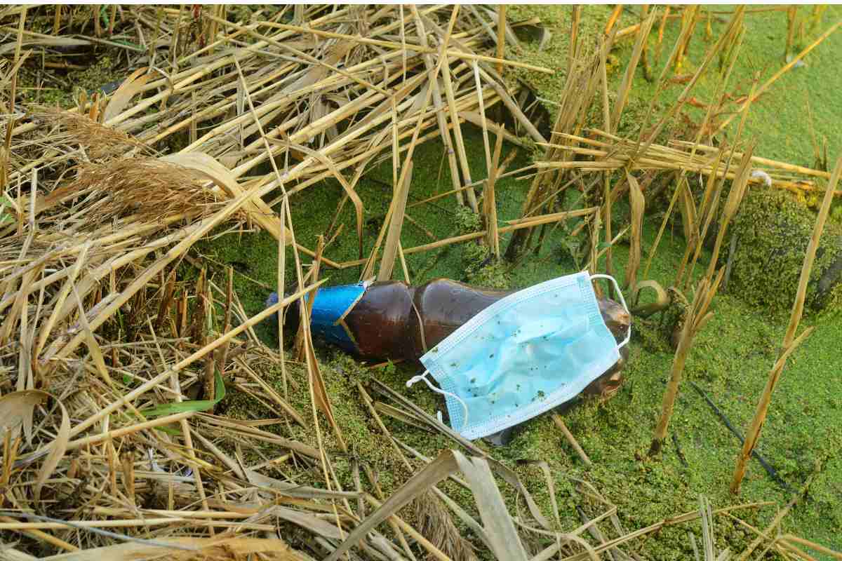 8,4 millones de toneladas de plásticos se han generado en pandemia