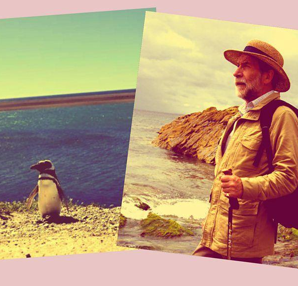 Pingüino: La conmovedora historia de Tom Michell y Juan Salvador