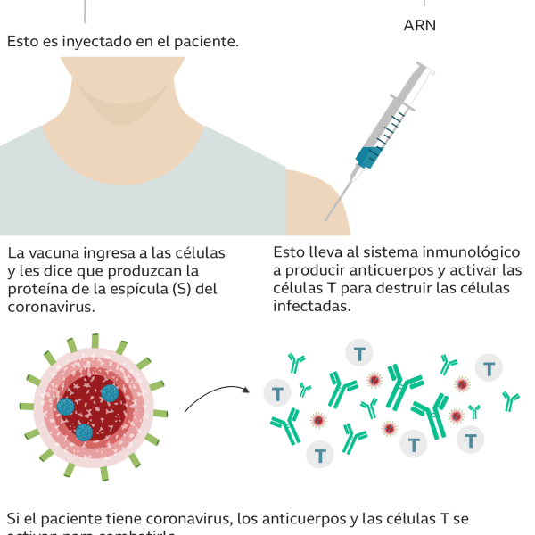 Elementos químicos en vacunas COVID-19: análisis crítico