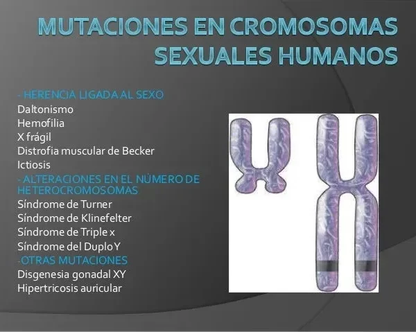Variaciones cromosómicas en el sexo y género: una visión amplia
