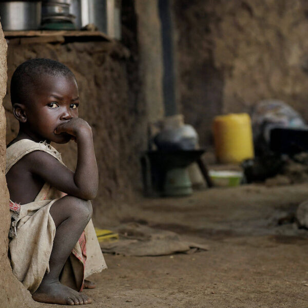 Sistemas Alimentarios: Un Reto Global en la Alimentación Sostenible y Saludable